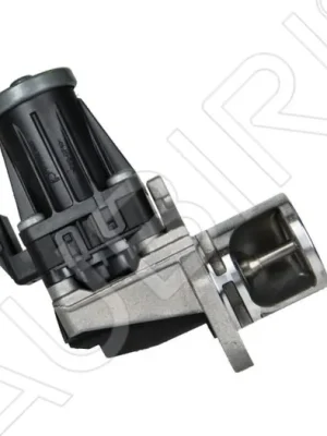 Časově Omezené EGR ventil Renault Kangoo 2016-2021 1,5 dCi